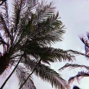 Meet your Posher, Londyn